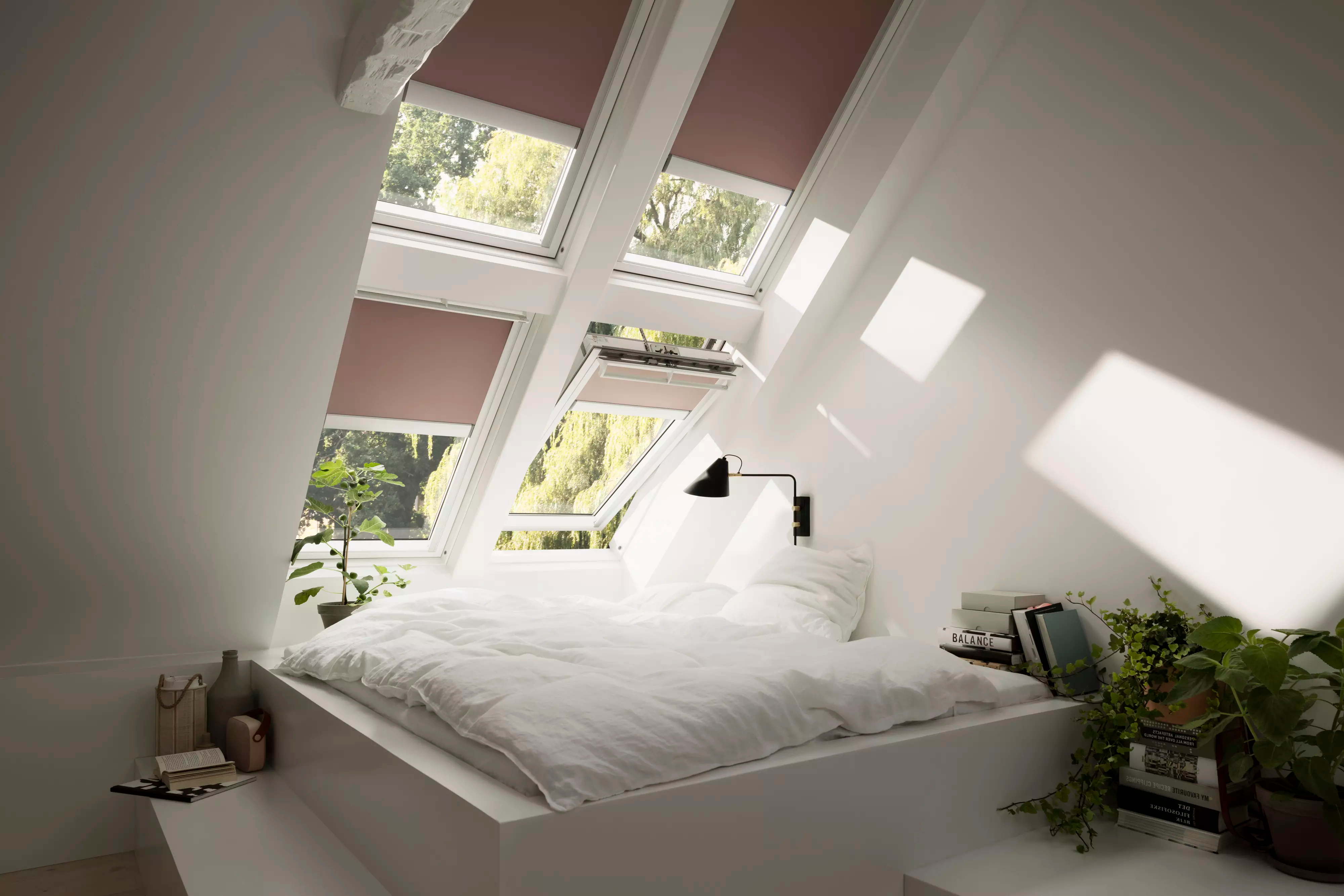 ambiente3